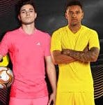 Dream League Soccer 2025 mod